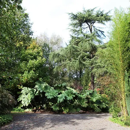 Comfortable Mansion In Doomkerke Near Forest * Ruiselede